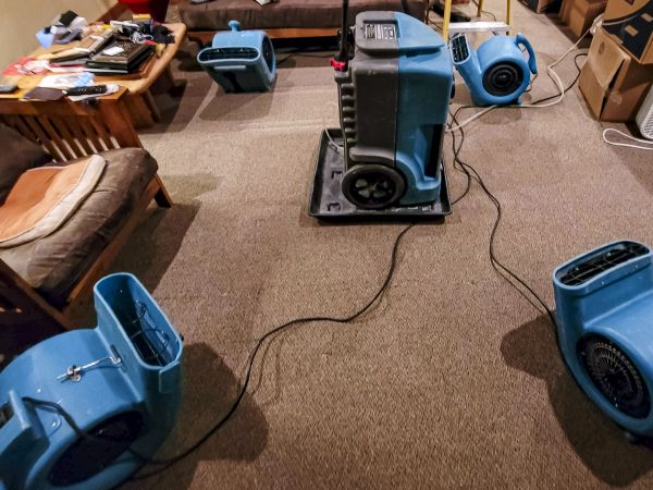 Cost of Flood Damage Recovery in Cartersville