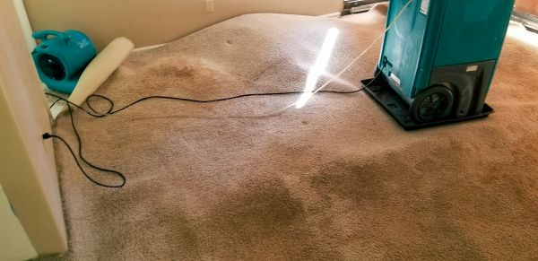 Cost of Flood Damage Cleanup in Cartersville