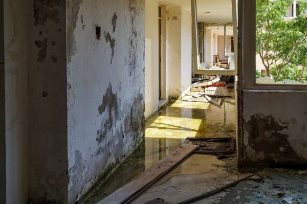 Cost of Water Removal Service in Cartersville