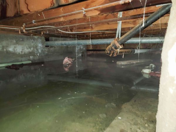 Cost of Water Mitigation Service in Cartersville