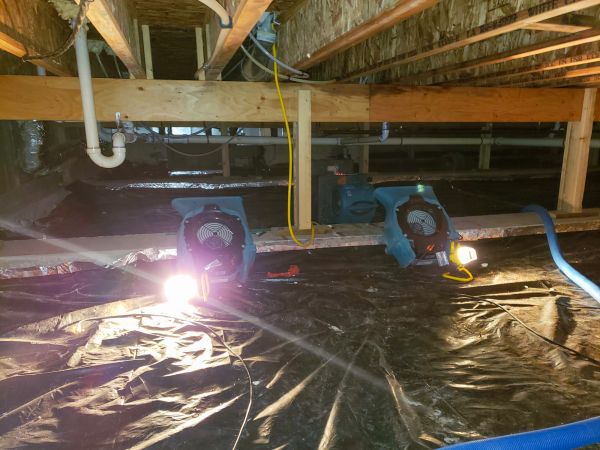 Cost of Crawlspace Water Removal in Cartersville